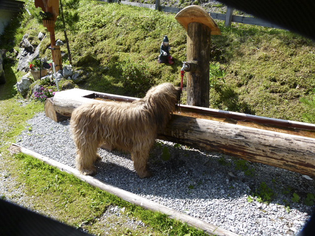 Urlaub im Stubeital